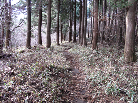 20161229hike (127)